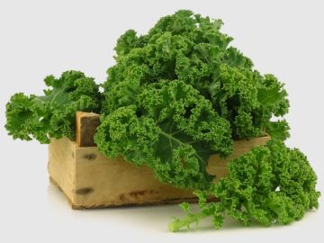kale-in-CSA-box