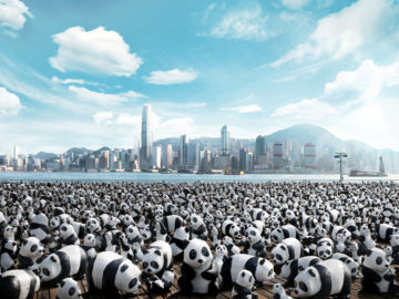 2014-05-05-Panda_Layer0408finals