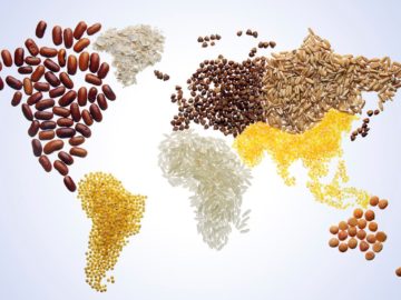 Celebrating-World-Food-Day-Beautiful-Picture