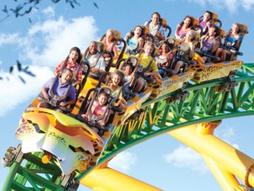 Cheetah_Hunt_Busch_Gardens_Tampa_Bay_1024x1024