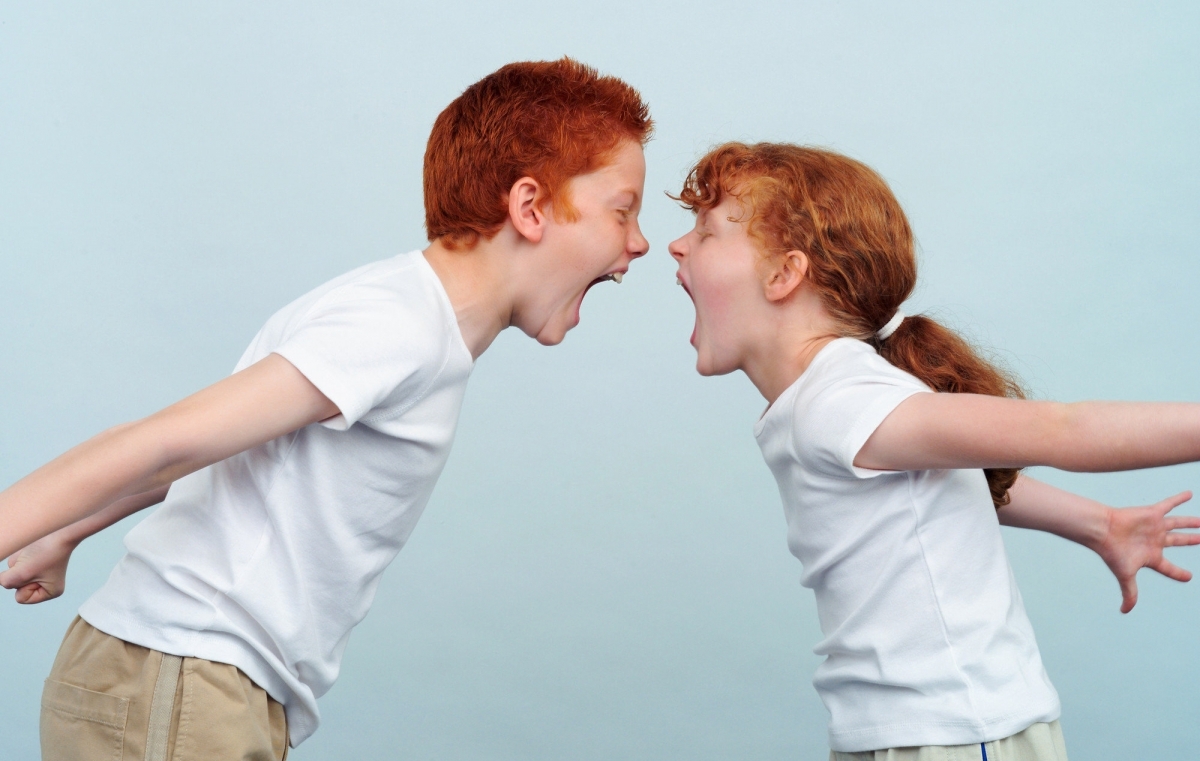 My kids fight constantly: What do I do? 