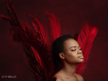 screen-shot-2016-02-07-at-14-33-01