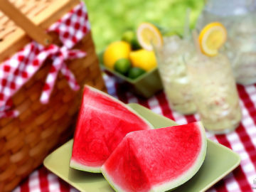 church-picnic-backgrounds