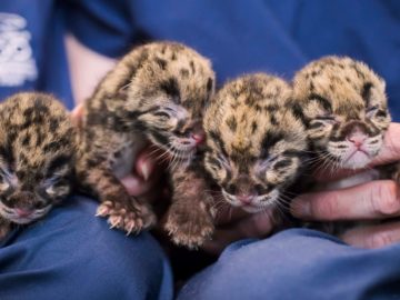 150521165435-05-week-in-photos-0522-super-169