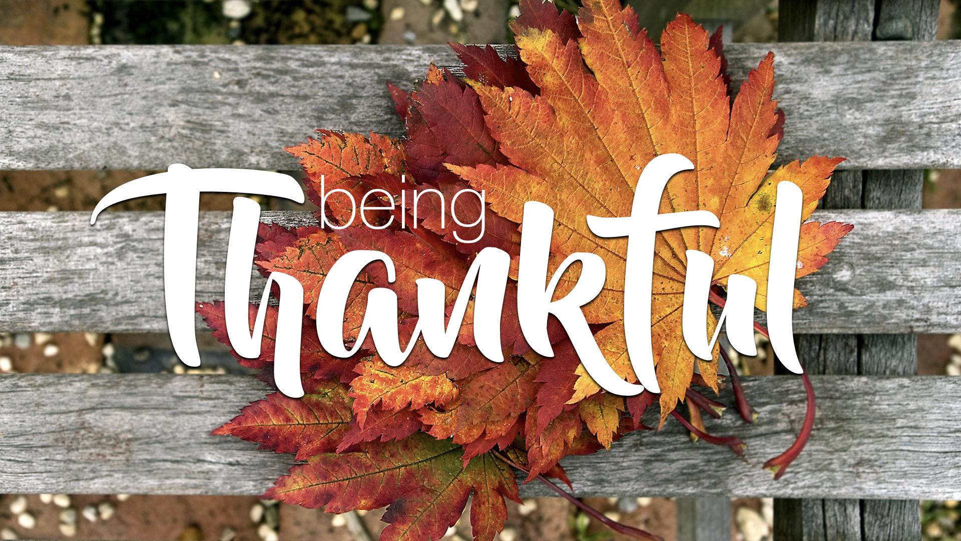 Thankful. Thankful vector. Blessed thankful. Thankful picture. Thankful.